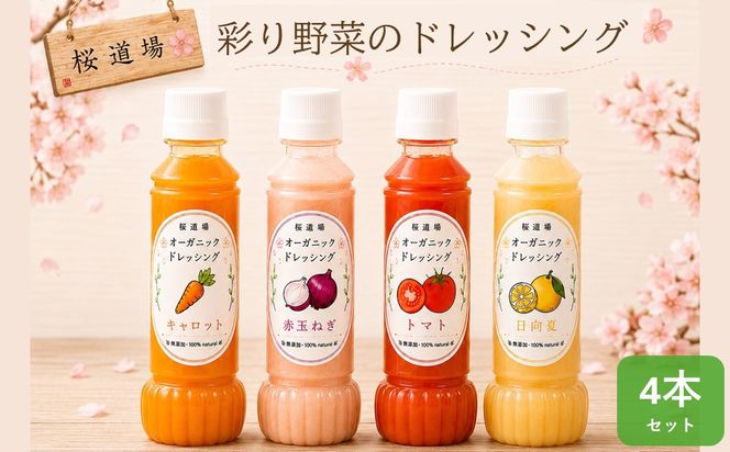 【A9-071】彩り野菜のドレッシング