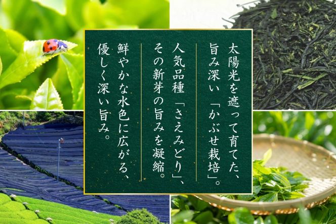 お茶 緑茶 深蒸し煎茶 深緑 80g×1本 [谷岩茶舗 宮崎県 日向市 452061730] 茶葉 プラチナ賞