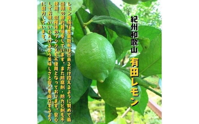 【国産】紀州和歌山 有田レモン 2kg+200g(痛み補償分) ※2026年9月下旬～2027年3月下旬に順次発送【ard031B】