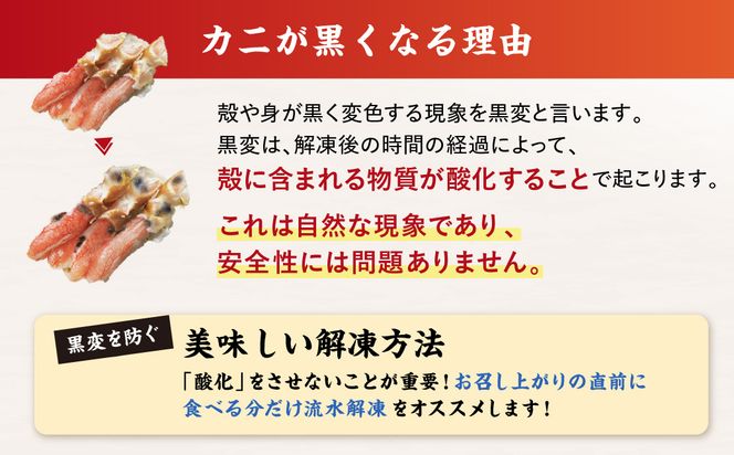 北見市加工 生冷本ズワイガニセット 800g 昆布入 ( 海鮮 魚介類 魚介 蟹 かに カニ セット 鍋 カニ鍋 カニ爪 ズワイガニ かにしゃぶ カット済 贈答 ギフト 熨斗 のし ふるさと納税 )【094-0080】