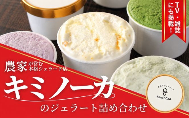 ジェラート セット 8個 1ヶ月以内発送 16000円 / キミノ―カ アイス クリーム スイーツ 野菜 果物【kmk105-r-8】