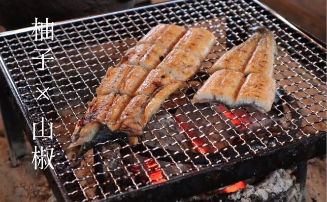 いのや。の3色 柚子胡椒セット（赤・黄・緑 各色60g）【ボックス付】×5※配送不可：離島 調味料 3種類 贈り物 ギフトボックス 詰め合わせ 食卓 肉料理 魚料理 おかず 味付け 辛味 ピリ辛 食べ比べ お年賀 ギフト 