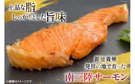 3回 定期便 鮭 切り身 塩銀鮭パック 3切 ×3袋 ×3回 総計9袋 [たみこの海パック 宮城県 南三陸町 m304amh560045] サーモン 銀鮭 塩銀鮭 シャケ 切身 さけ サケ 国産 小分け 個包装 冷凍