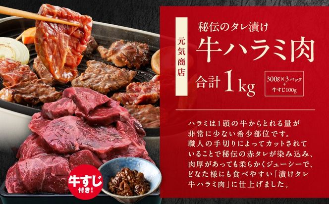 099S026 1位獲得の肉 福袋 3種 総量 2.6kg【牛肉 焼肉 牛タン ハラミ 牛ヒレ お肉 セット 訳あり サイズ不揃い 別送】