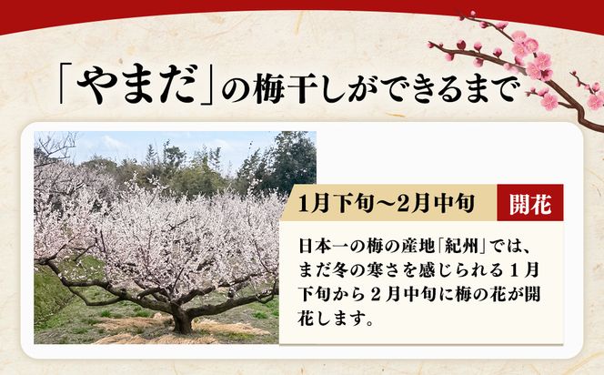 紀州南高梅プレミアム塩分約3％（850g）