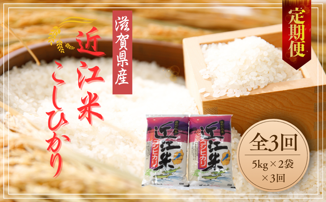 【3ヵ月定期便】【7年産】ふるさと定期便こしひかり10kg×3回コース【計30kg（5kg×2袋×3回）】【T033W2】