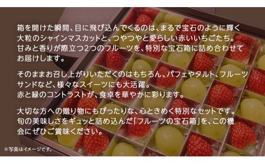 《 選べる 内容量 》【 お歳暮 熨斗付き 】 赤いちご と シャインマスカット の宝石箱 18粒 / 36粒 (茨城県共通返礼品：大子町) いちご マスカット 果物 フルーツ 旬 季節限定 期間限定 贈答用 ギフト 贈り物