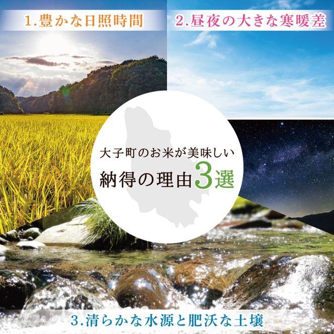 【3ヶ月定期便】令和7年産　常陸農協の大子町産コシヒカリ5kg｜茨城県 大子町 お米 白米 精米 こしひかり ふっくら もっちり コンテスト受賞（AH014）
