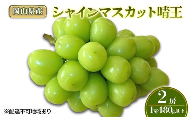 ぶどう 2026年 先行予約 シャインマスカット晴王2房(1房480g以上) 化粧箱入り ブドウ 葡萄 岡山県産 国産 フルーツ 果物 ギフト[№5735-2008]