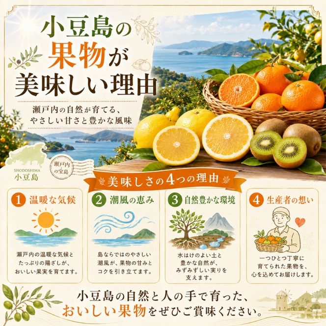 【 小豆島 】スイートスプリング　約5kg 果物類 柑橘類 フルーツ 