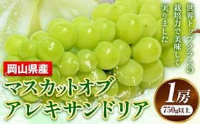 【先行予約】 岡山県産 マスカットオブアレキサンドリア 1房 (750g以上) 【配送不可地域あり】 《7月上旬-8月下旬頃出荷》 岡山県 矢掛町 果物 フルーツ ぶどう 葡萄 送料無料---osy_chbf8_ak7_26_21500_1---