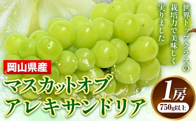 【先行予約】 岡山県産 マスカットオブアレキサンドリア 1房 (750g以上) 【配送不可地域あり】 《7月上旬-8月下旬頃出荷》 岡山県 矢掛町 果物 フルーツ ぶどう 葡萄 送料無料---osy_chbf8_ak7_26_21500_1---