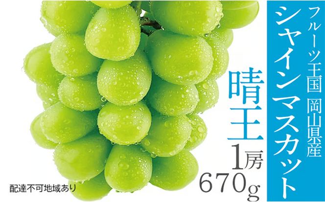 ぶどう 2026年 先行予約 シャイン マスカット 晴王 1房 約670g 晴れの国 おかやま 岡山県産 フルーツ王国 果物王国 食後 産地直送 [№5735-1305]