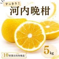 【10営業日以内発送】河内晩柑 ばんかん 約 5kg 家庭 柑橘 かんきつ フルーツ 果物 くだもの すぐ届く 早い 甘い さっぱり 厳選 愛媛 みかん 蜜柑 Mikan 愛南 ご当地 ブランド 野菜 サラダ ピール ゼリー お菓子 デザート マルエム直販 愛媛県 愛南町