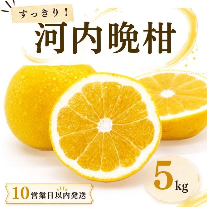 【10営業日以内発送】河内晩柑 ばんかん 約 5kg 家庭 柑橘 かんきつ フルーツ 果物 くだもの すぐ届く 早い 甘い さっぱり 厳選 愛媛 みかん 蜜柑 Mikan 愛南 ご当地 ブランド 野菜 サラダ ピール ゼリー お菓子 デザート マルエム直販 愛媛県 愛南町