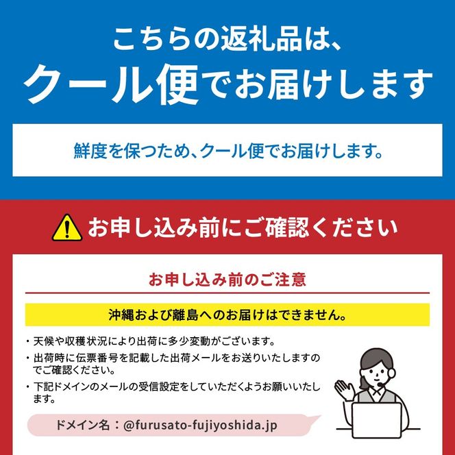 【2025年先行予約】【 定期便 】 厳選 旬のフルーツ定期便 シャインマスカット 桃 黒ぶどう 果物 フルーツ くだもの 旬 もも ぶどう 高級 山梨 富士吉田