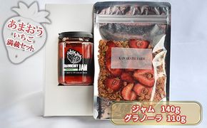 ジャム グラノーラ セット あまおうジャム 140g＋いちごいちごいちごあまおうグラノーラ 110g 加工食品 イチゴジャム ストロベリージャム シリアル 朝食 朝ごはん 小腹 特別栽培 