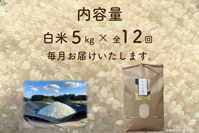 【先行予約】【2026年9月末より順次発送開始】【茨城県共通返礼品/潮来市】【12ヶ月定期便】栽培期間中出来るだけ農薬を減らしたかすみ米 5kg(白米)　茨城県潮来市産(BI-90)