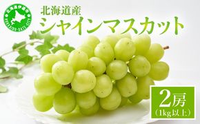 ＜先行予約＞ シャインマスカット 2房（1kg以上）化粧箱入り