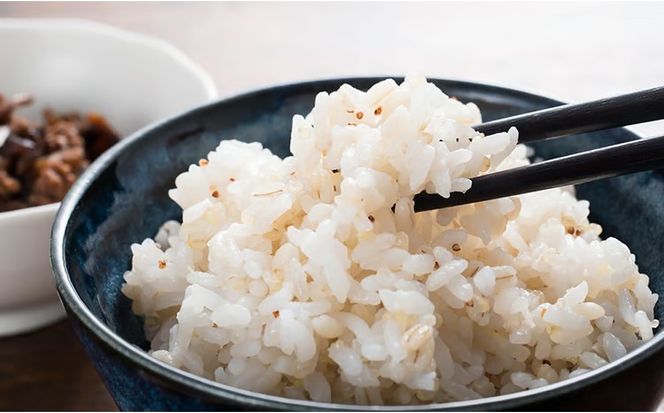 北海道産 もち麦(キラリモチ） 300g×15袋 | 北海道 滝川市 キラリモチ 穀物 麦 大麦 もち麦 むぎ 食物繊維 もち麦ごはん モチ麦 餅麦 ムギ 雑穀 雑穀米 国産 小分け 送料無料