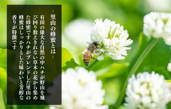 ありだ里山の蜂蜜 570g 化粧箱入り BC05