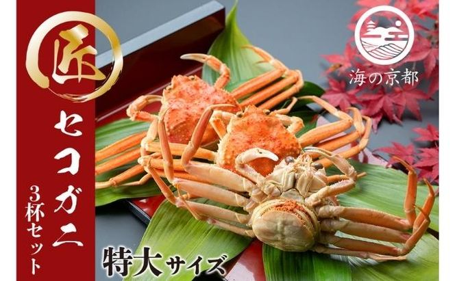 セコガニ コッペがに 子持ち 特大サイズ 3杯セット 冷蔵 蟹 カニ かに 松葉蟹 松葉ガニ ズワイガニ ボイル myz05