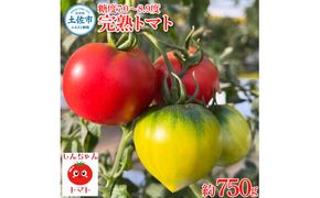 【先行予約】完熟トマト しんちゃんトマト 約750g 〈2027年2月〜発送〉/ 糖度7.0～8.9度 とまと トマト 野菜 やさい 料理 サラダ マリネ 甘味 酸味 食品 食べ物 リコピン おいしい お取り寄せ