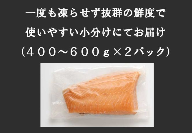 E23【1月31日(金)発送】日本初！今話題の国産アトランティックサーモン「FUJI ATLANTIC SALMON」【生】800～1,100ｇ