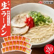 自宅で本格ラーメン・神埼とんこつ生ラーメン 20袋入 【ラーメン ご当地ラーメン 豚骨ラーメン とんこつラーメン 袋麺】(H014138)