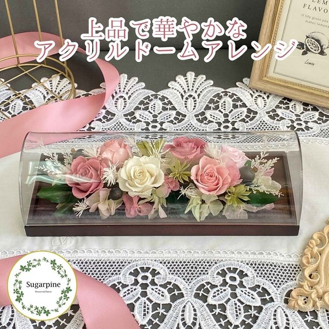 yʌtszvU[uht[@VN@sN@ts@VK[pC(AJ256)