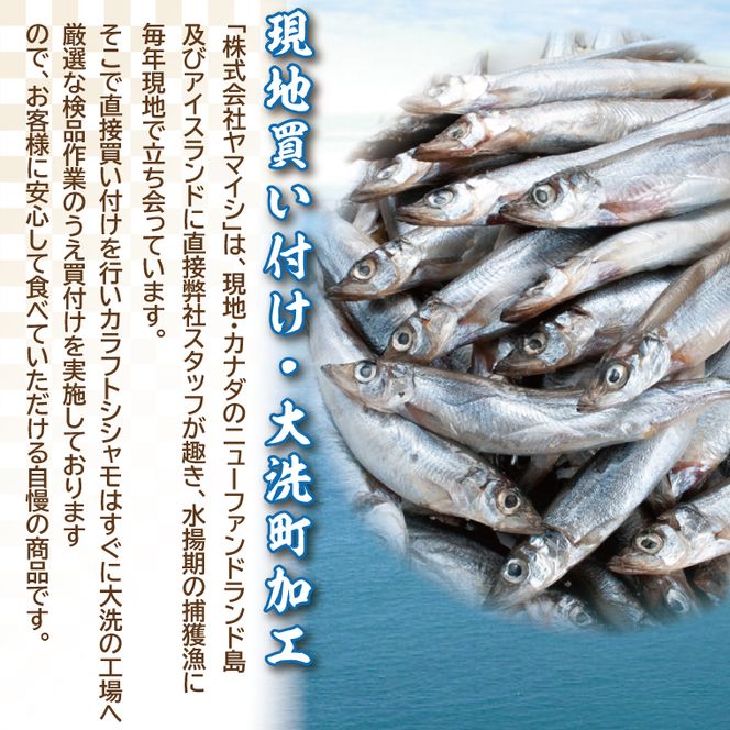 【数量限定】シシャモ シシャモフライ セット 訳あり ワケアリ 子持ちシシャモ カラフトシシャモ カラフトししゃも ししゃも 2kg 簡単調理 フライ 冷凍 魚介類 大洗 時短