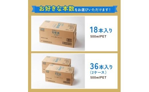 ※本数が選べる※サンA宮崎のむぎ茶　500ml PET 【 飲料 お茶 麦茶 宮崎県産 ペットボトル】 [C03021][C03022]