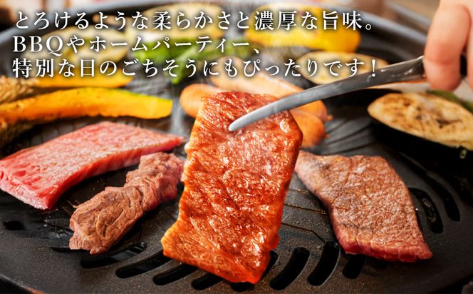 宮崎県産 黒牛 焼肉 赤身 牛肉 焼肉セット ロース 肩ロース モモ 2点盛り 560g(280g × 2パック)焼肉用 肉 お肉 牛 国産牛 食べ比べ セット 小分け 真空パック コスパ 冷凍 贈答 贈答用 ギフト BBQ アウトドア キャンプ 人気 国産 国産牛 九州 宮崎県 えびの市 送料無料