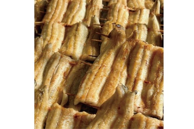 yÉgczȂ Y 󂠂   500`550g Zbg 5`7{x [}}ccX É gc 22424596-b] V EiM unagi Ă Ȃ V YΏ Ⓚ KiO