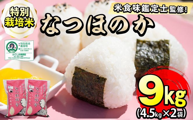特別栽培米！川崎さん自慢のなつほのか 白米 (4.5kg×2袋・計9kg)  b0-221