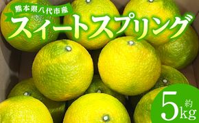 【先行予約】スイートスプリング 約5kg 柑橘 みかん 果物 くだもの フルーツ デザート おやつ 熊本県 八代市 【2026年12月上旬より順次発送】