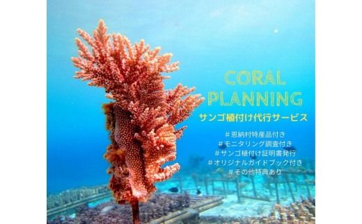 チケット サンゴ植付け ｜ 代行サービス 2株【恩納村ラグーン】