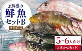 福吉漁港直送！ 玄界灘 鮮魚 セット B （ 5、6人向け ） 糸島市 / 福ふくの里[ALD002]