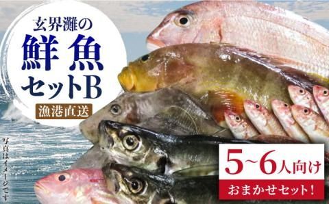 福吉漁港直送！ 玄界灘 鮮魚 セット B （ 5、6人向け ） 糸島市 / 福ふくの里[ALD002]