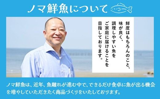 【定期便】鮮度抜群！旬の鮮魚おまかせセット 食べきり6パック セット｜定期便 4回 海鮮 鮮魚 魚 下処理済 新鮮 海鮮盛り合わせ 詰め合わせ 人気 おすすめ 愛知県 美浜町 ※北海道・沖縄・離島への配送不可