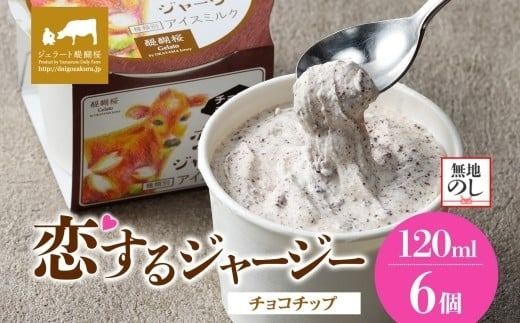 【ジェラート醍醐桜】【熨斗】恋するジャージーチョコチップ 6個セット / 岡山 真庭 醍醐桜 極上スイーツ 濃厚 プレゼント 贈答 デザート ギフト ジャージー牛 ミルク ジェラート おやつ チョコレート 子供から大人まで 冷凍 人気 贅沢 【nhss017n-01】