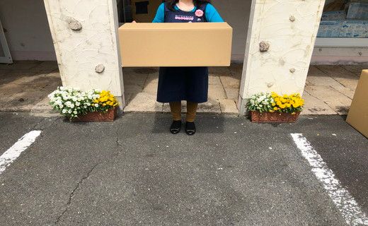 ごろ寝ふとん（長座布団）【CW40W1】
