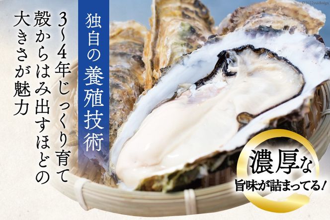 【期間限定発送】 TVで紹介！ 牡蠣 3～4年モノ 生食 殻付き牡蠣 約3kg(約16-18個入) [住喜水産 宮城県 気仙沼市 20564186_CF03] 期間限定 冷蔵 新鮮 濃厚 真牡蠣 カキ かき 生牡蠣 魚貝類 生牡蠣 貝 海鮮 魚介類 なべ カキフライ 牡蠣ご飯 魚介