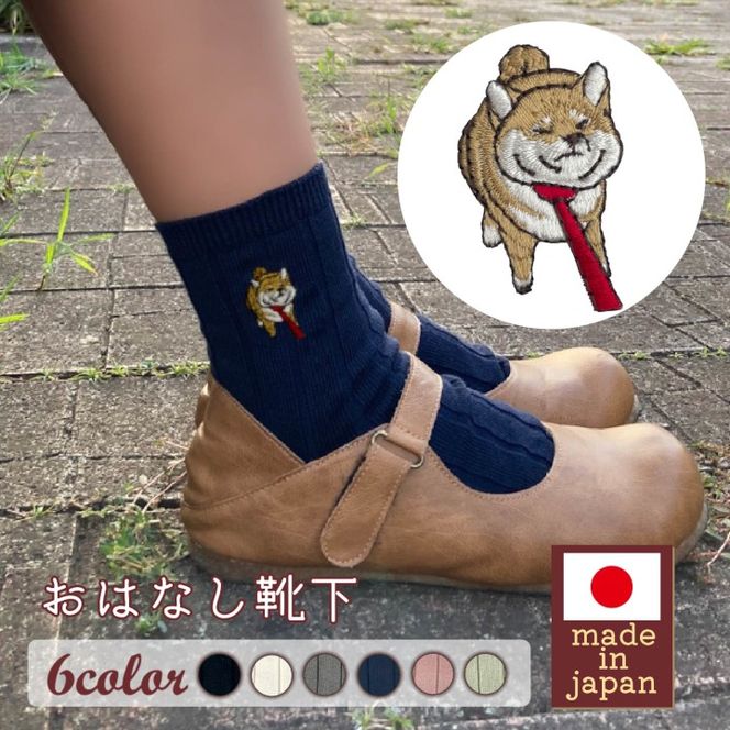 おはなし靴下 ギフトボックス 柴犬 キッズ ネイビー