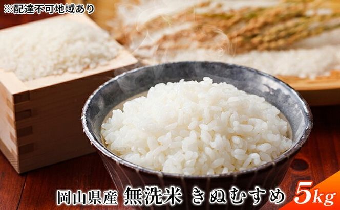 令和7年産 無洗米 きぬむすめ 5kg 白米 お米 岡山