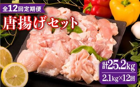 yszyS12ցzY ؖ g 4 Zbg lߍ킹 2.1kg s / ~[gfH[ [ACA262] Y {   ނ  ނ ٓ