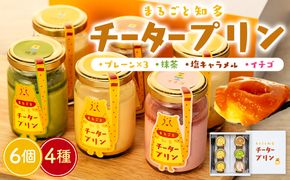 チータープリン 6 個 セット ( プレーン × 3 抹茶 塩 キャラメル フルーツ ) 冷蔵 プリン 子供向け スイーツ デザート ギフト お土産  贈答用 お歳暮 まるごと知多チータプリン 愛知県 南知多町 【配送不可地域：離島・北海道・沖縄県・東北・中国・四国・九州】