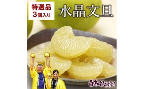 【先行予約】高知県産水晶文旦 特選ご贈答用 2Lサイズ 3個入り〈2026年10月上旬～11月上旬頃発送〉  /  ぶんたん ブンタン 水晶文旦 果物 柑橘 フルーツ お取り寄せ 特産品 おいしい【白木果樹園】 [BQAI017]