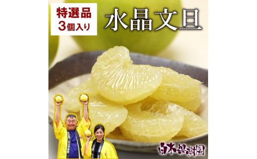 【先行予約】高知県産水晶文旦 特選ご贈答用 2Lサイズ 3個入り〈2026年10月上旬～11月上旬頃発送〉  /  ぶんたん ブンタン 水晶文旦 果物 柑橘 フルーツ お取り寄せ 特産品 おいしい【白木果樹園】 [BQAI017]