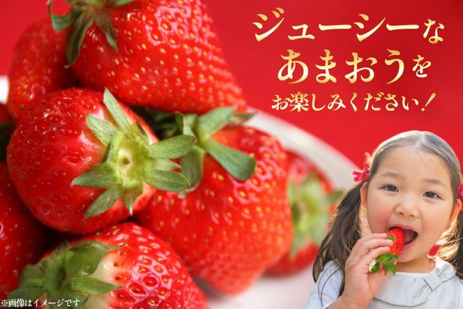 【期間限定発送】 いちご 定期便 あまおう 3p 3回 総計9p [THE FARM_strawberry 福岡県 宇美町 um40azo780004] イチゴ 苺 フルーツ 果実 甘い 小分け